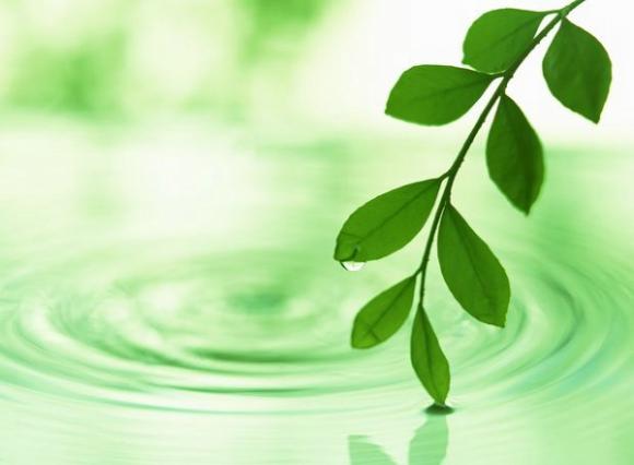 響應(yīng)“健康重慶”，全國(guó)健康管理服務(wù)示范基地漢藏宮盛大啟幕