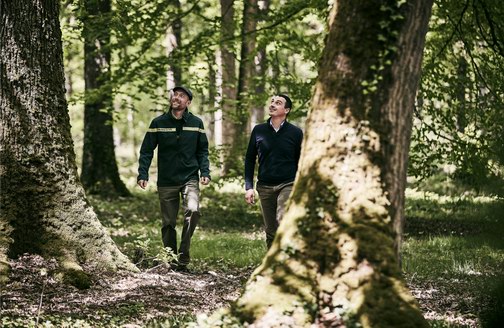 從一顆橡樹的種子，到一滴路易十三佳釀 需要歷經(jīng)幾個世紀的時光 